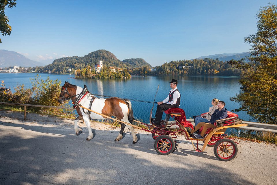 con una carrozza intorno al lago in autunno Bled
