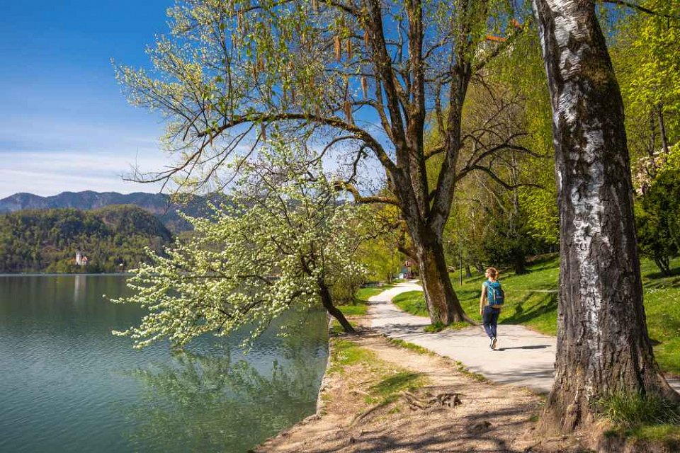 Bled Lake Autumn walk 