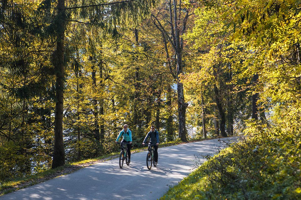 Radfahren Bled Im Herbst