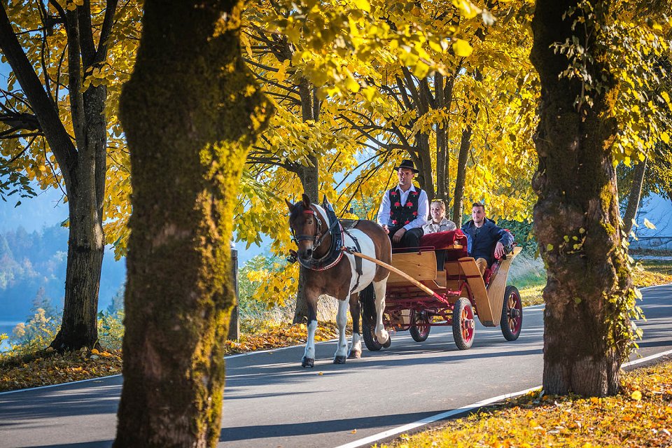 Fijaker à cheval autour de Bled