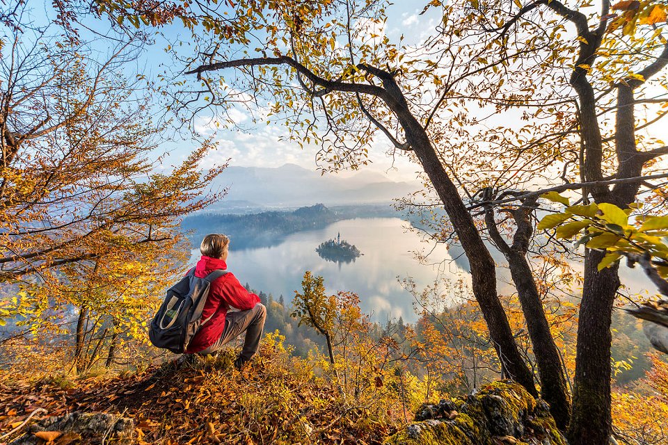 Autumn view of Lake Bled from Ribenska Gora 