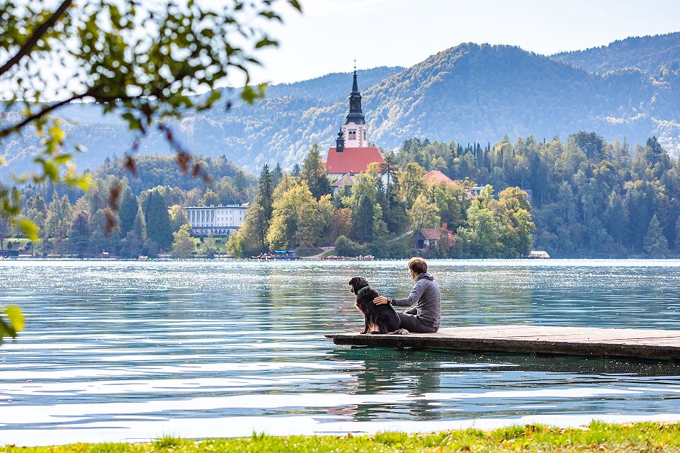 Visitez Bled avec votre chien - Bled, Slovénie
