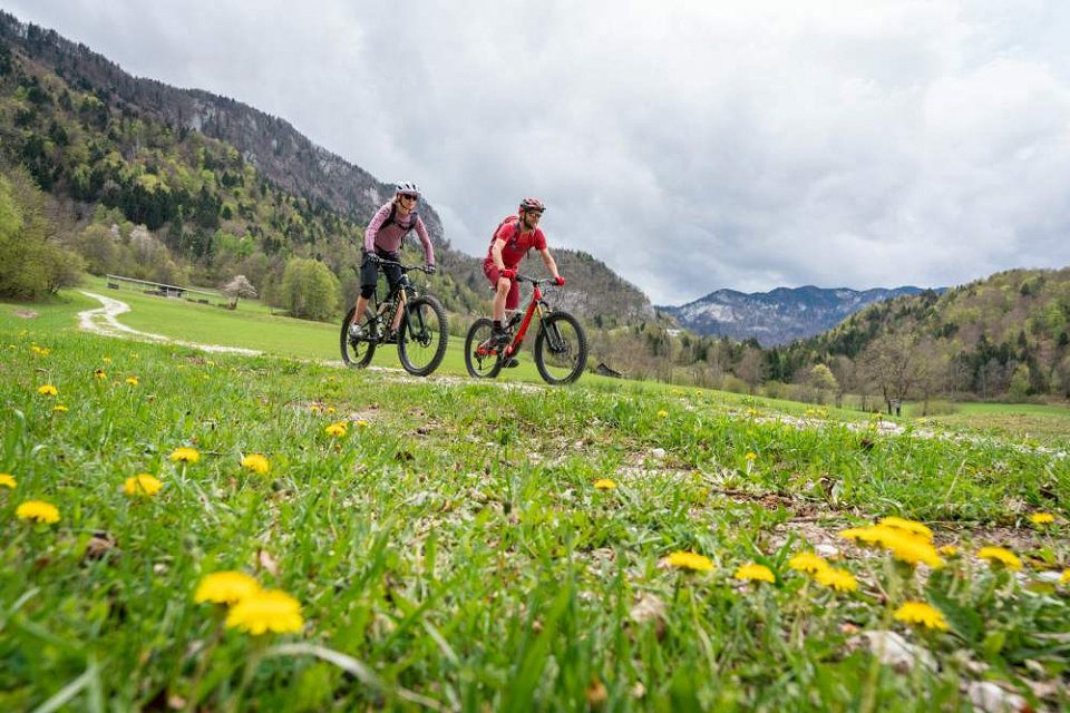 gorsko kolesarjenje Bled