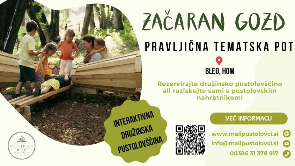 Začaran gozd 2025 letak