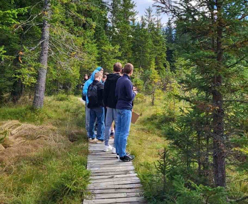 Sprehod skozi pokljuški gozd - spoznavanje rastlin in živali Pokljuke